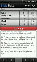 Bible Shake Free Affiche