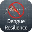 Dengue Resilience