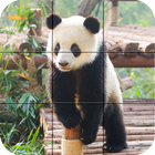 Tile Puzzle - Bears أيقونة
