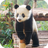 Tile Puzzle - Bears APK