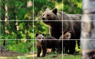 Tile Puzzle - Bears capture d'écran 2