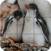 Tile Puzzle - Penguins