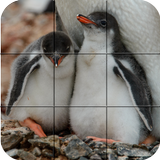 Tile Puzzle - Penguins ikon