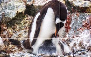 Tile Puzzle - Penguins capture d'écran 3