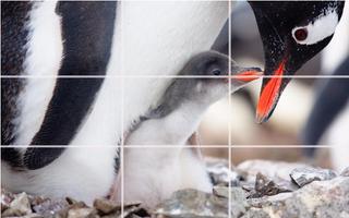 Tile Puzzle - Penguins Affiche