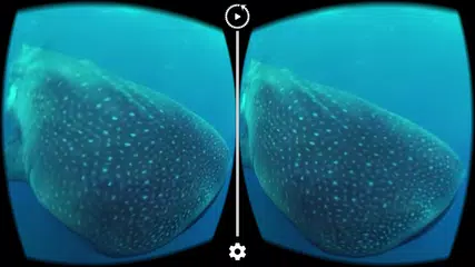 360 VR Player | Videos APK download