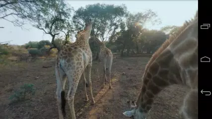 360 VR Player | Videos APK download