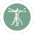 Human Anatomy | Atlas