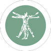 Human Anatomy | Atlas APK