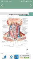 Human Anatomy | Atlas capture d'écran 3