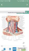 Human Anatomy | Atlas screenshot 3