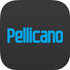 ikon Pellicano