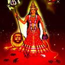 Jay Maa Karni Mata Bhajan Videos APK