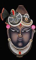 Shrinathi Ji  Bhajans Songs Videos Affiche