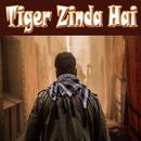 Tigar Zinda Hai Movie Trailer And Songs Videos APK