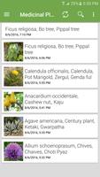 Medicinal Plants imagem de tela 2