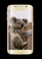 Koala Keyboard Theme 2018 Ekran Görüntüsü 1