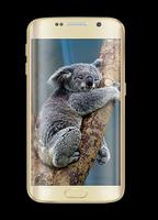 Koala Keyboard Theme 2018 স্ক্রিনশট 2