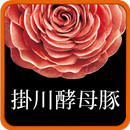 榮騰農產-掛川酵母豚 APK