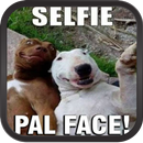 Memes 2018- Para compartir APK