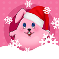 Rabbit Preschool Games