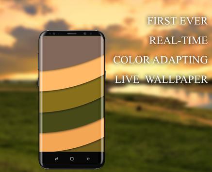Chameleon Colorize Adapting With 3d Cube Lwp For Android Apk Download