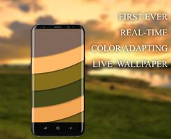 Chameleon Colorize Adapting With 3D Cube LWP Cartaz