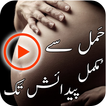 Hamal Se Paidaish Tak