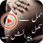 Hamal Se Paidaish أيقونة