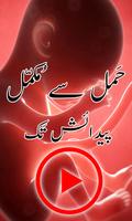 Hamal Se Paidaish الملصق