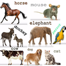 Animal Sounds APK