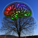 Brain Healing Sounds-APK