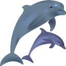 Dolphin Meditation APK