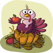 Turkey Sound