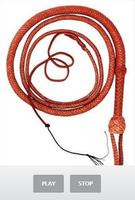 Whip Sound পোস্টার