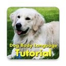 Dog Body Language Training APK