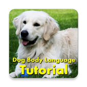 تدريب الكلب لغة الجسد أيقونة