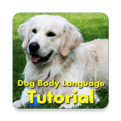 Dog Body Language Training ไอคอน