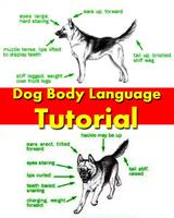 Dog Body Language Training Affiche