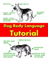 برنامه‌نما Dog Body Language Training عکس از صفحه