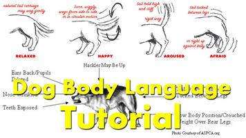 Dog Body Language Training capture d'écran 2