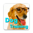 Dog Training Language icône