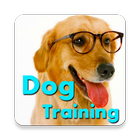 Dog Training Language アイコン