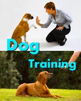 Dog Training Language Plakat