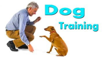 Dog Training Language 截图 2