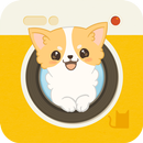 Hellopet mini - Chihuahua and photo fun APK