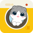 Hellopet mini - Scottish Fold and photo fun