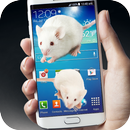 Mouse On Screen Joke Scary APK
