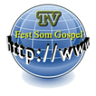 TV  Fest Som Gospel