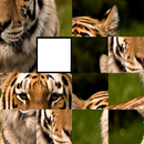 Image Puzzle APK